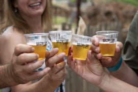 Atlanta - Brew at the Zoo — main photo