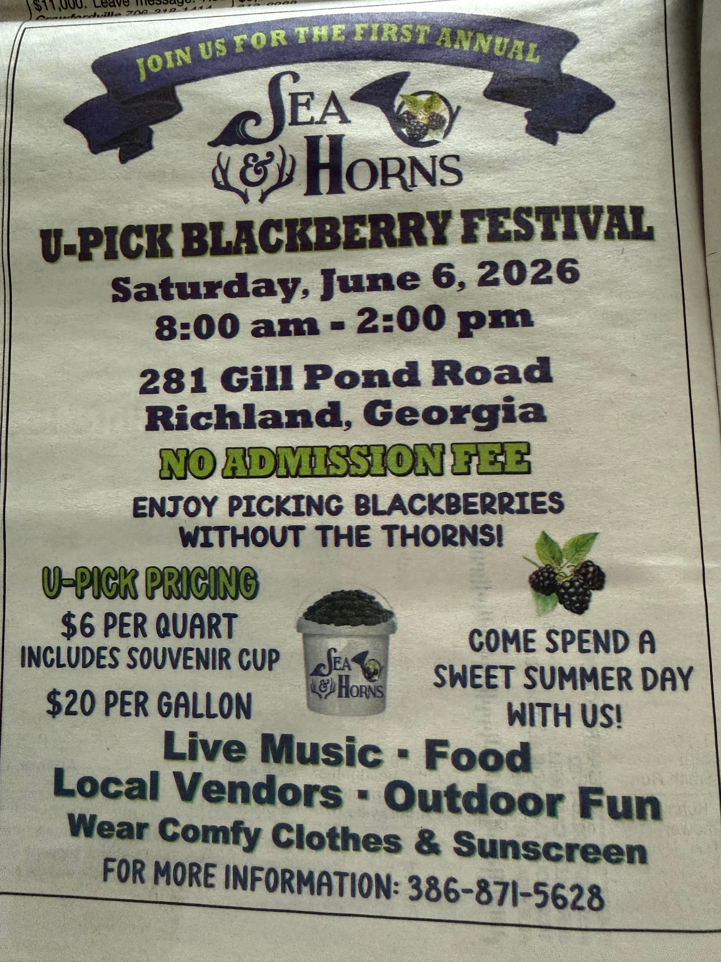 U-Pick Blackberry Festival โ main photo